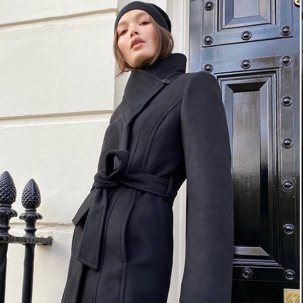 Aritzia Babaton The Connor Coat